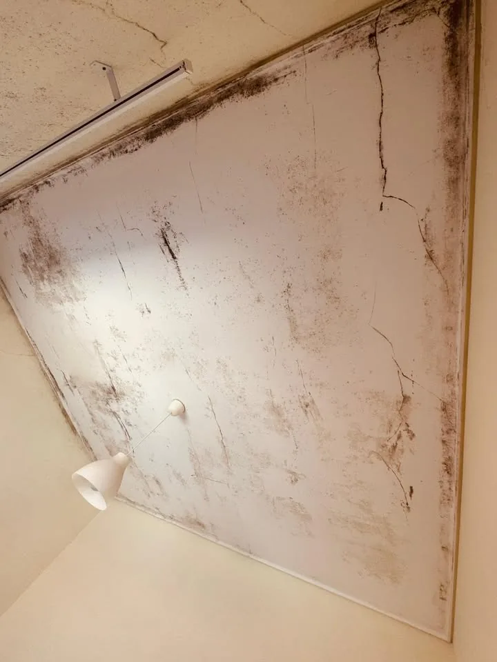 Teto de um quarto coberto de manchas escuras de bolor, antes da limpeza